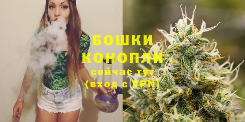 Бошки Шишки White Widow  blacksprut сайт  Приморско-Ахтарск 